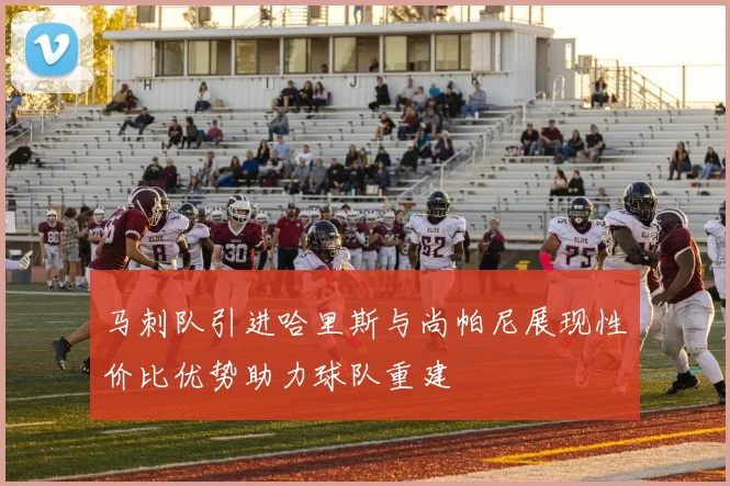 马刺队引进哈里斯与尚帕尼展现性价比优势助力球队重建