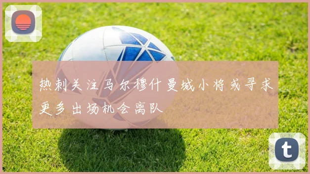 热刺关注马尔穆什曼城小将或寻求更多出场机会离队
